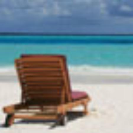 Nittya Pure Vegetable Restaurant